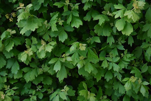 Santa Fe, United States photo 14