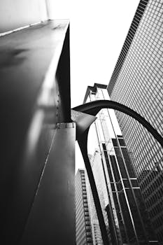 从黑白视角看考尔德的火烈鸟与芝加哥市中心的摩天大楼