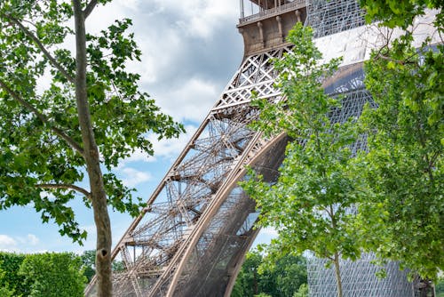 Eiffel Tower in Paris behind Trees