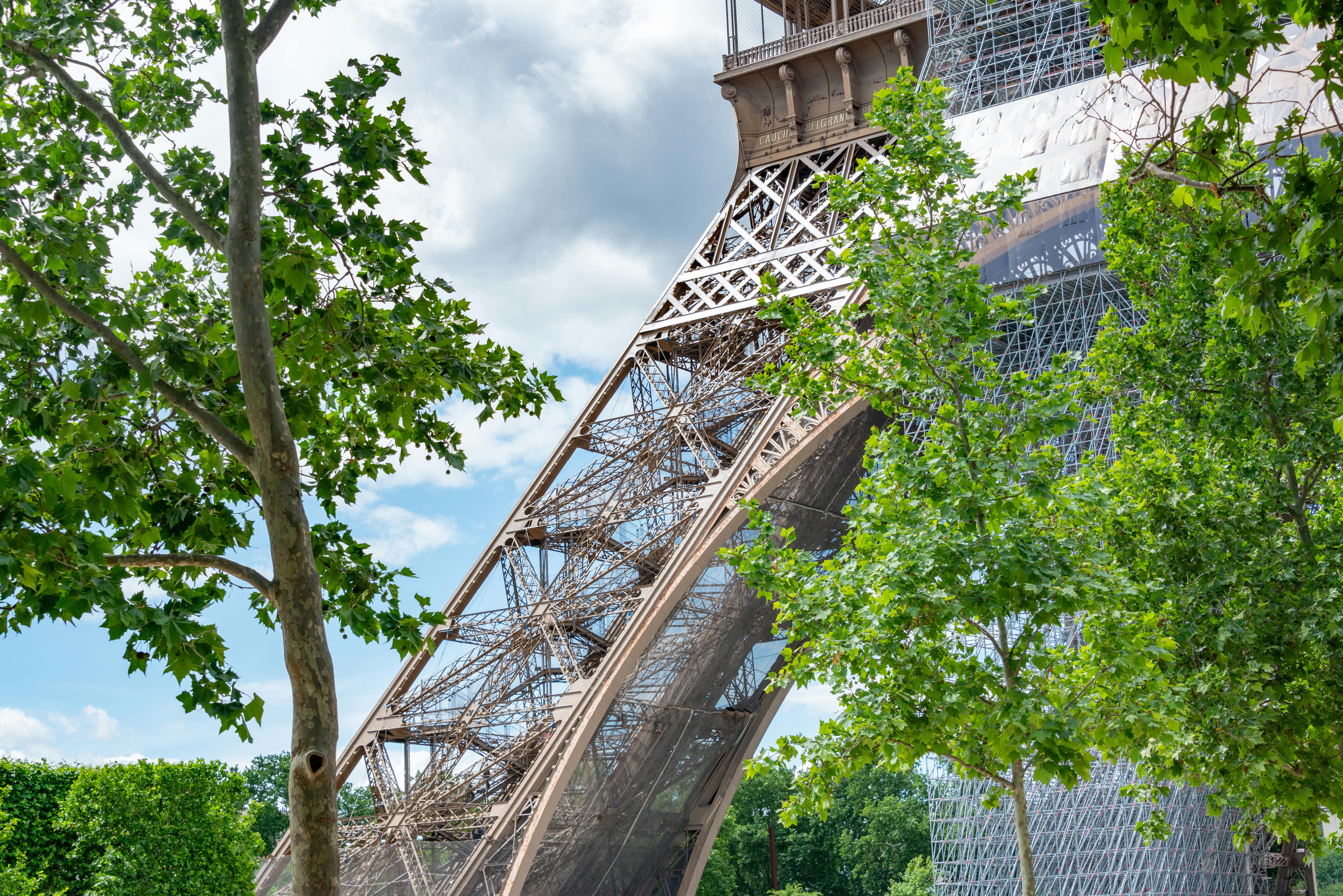 seine-and-eiffel-tower-in-paris-free-stock-photo