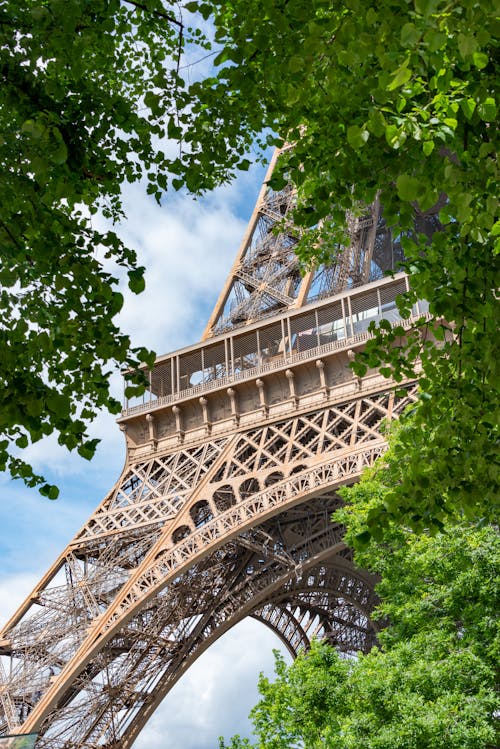 Eiffel Tower in Paris in Frame of Leaves