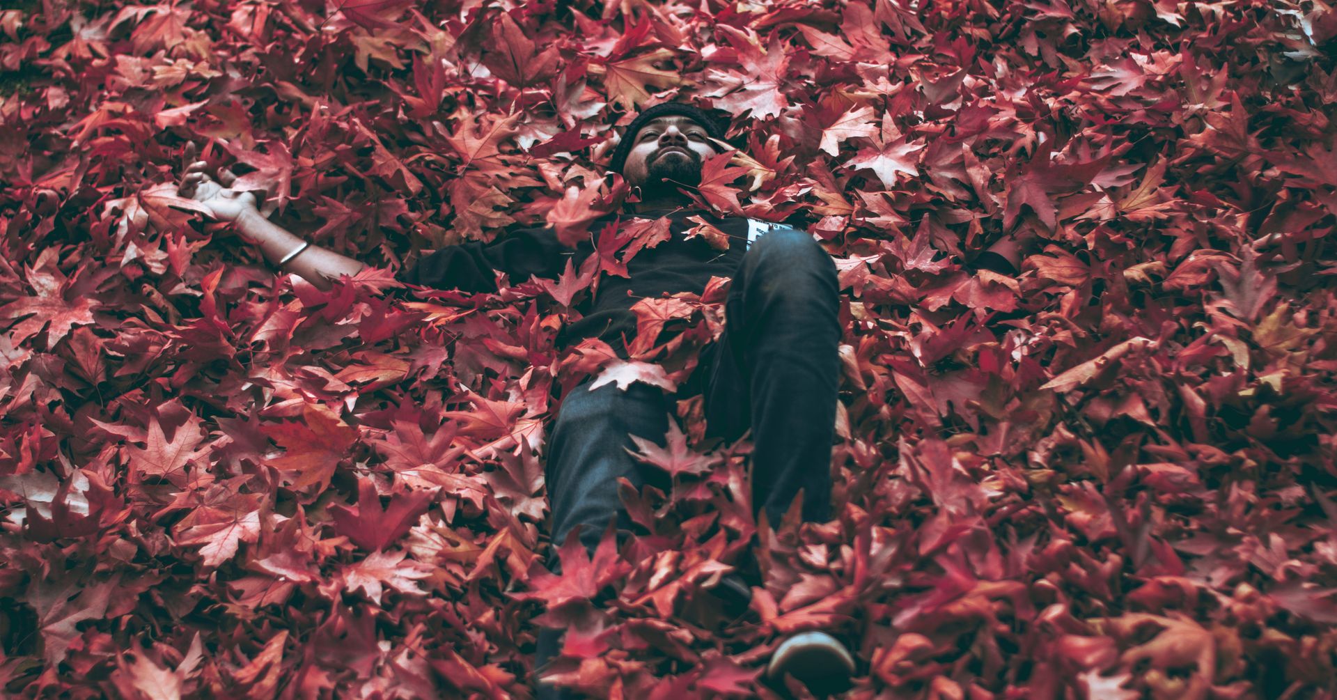 Man lying peacefully in a bed of vibrant red maple leaves during fall.