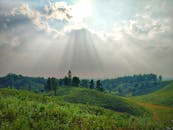 阳光明媚的风景映衬着孟加拉国谢尔普尔区郁郁葱葱的青山