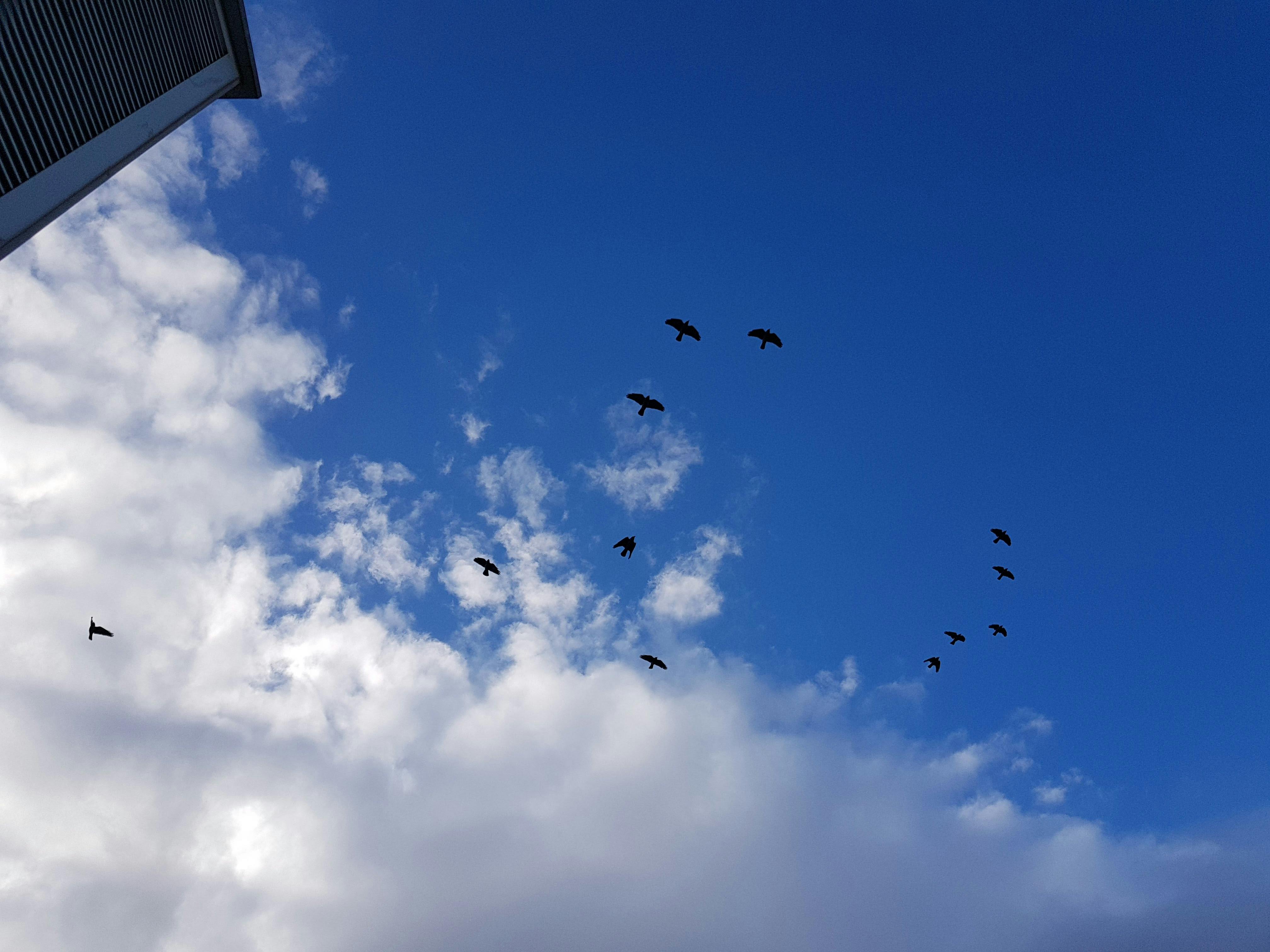 Die Kaskade in Jerewan bei Sonnenuntergang