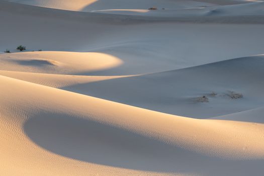 Sanfte Sanddünen mit feiner Rippelstruktur im Morgenlicht
