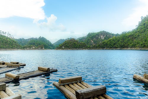 Бесплатное стоковое фото с деревянный, лес, озеро