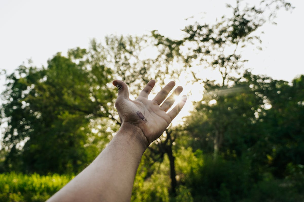 Selective Focus Photography Of Hand · Free Stock Photo