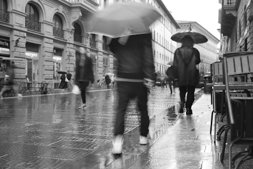 Fotobanka s bezplatnými fotkami na tému chôdza, čierny a biely, dážď