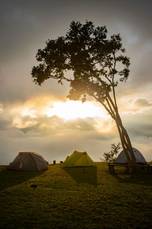 Free Captivating sunset over camping tents with a lone tree in Cusco's serene landscape. Stock Photo