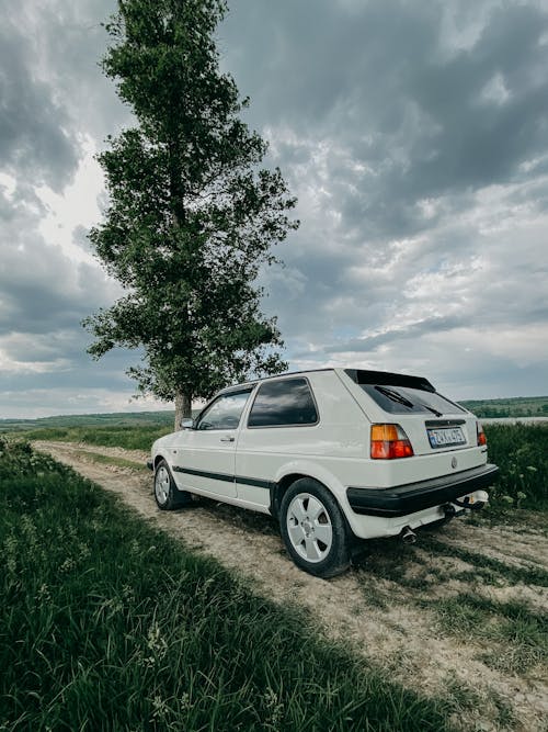 Kostenloses Stock Foto zu auto, bedeckt, einzigen baum