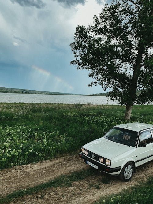 Kostenloses Stock Foto zu auto, baum, drohne erschossen