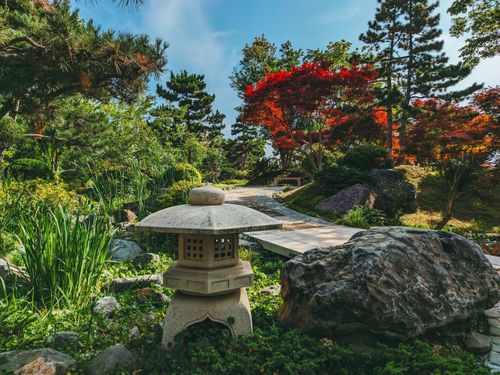 Free Peaceful Asian garden featuring a traditional stone lantern and vibrant autumn foliage. Stock Photo