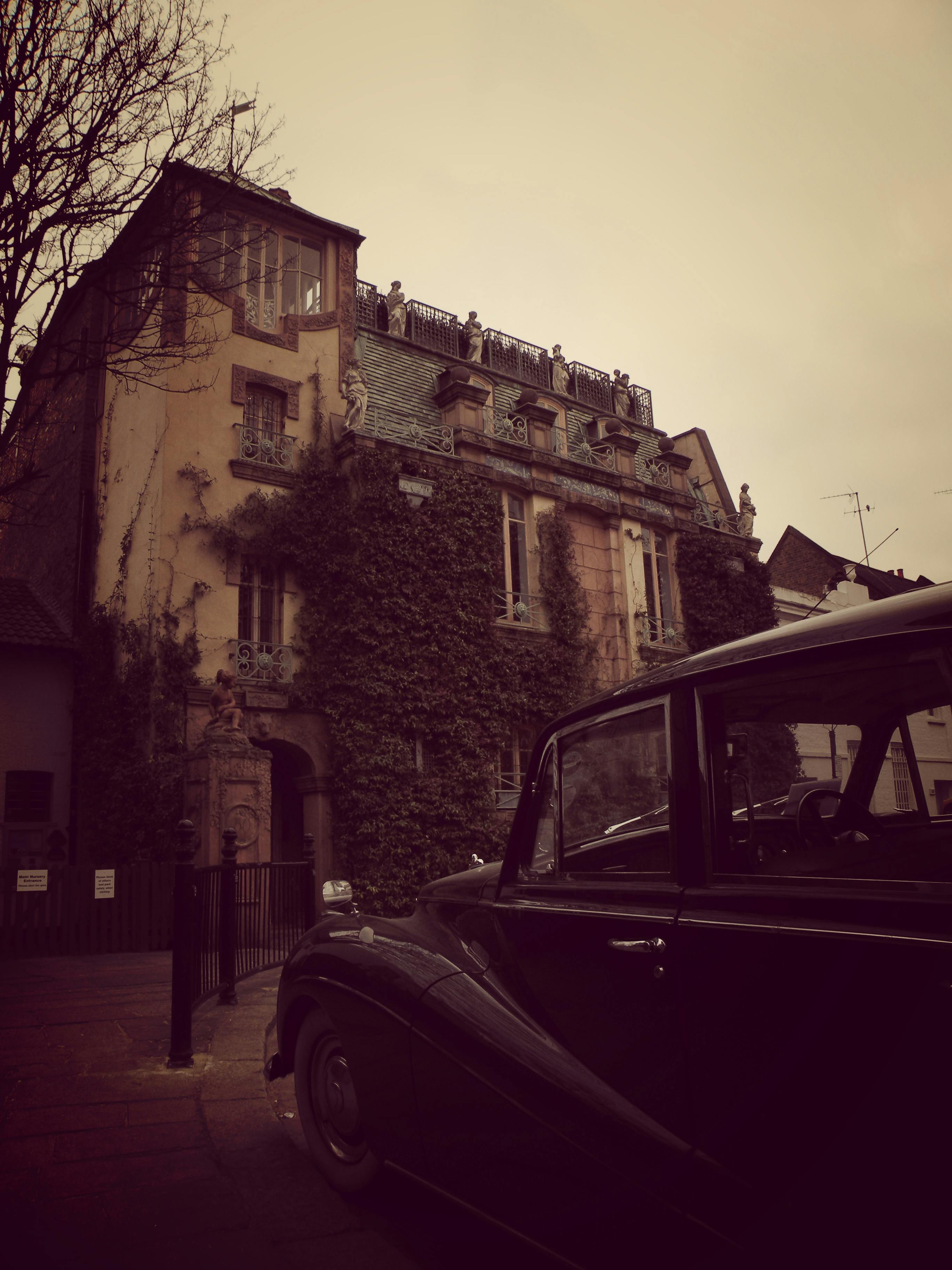 Dust and spores in sunlight representing airborne fungus spread