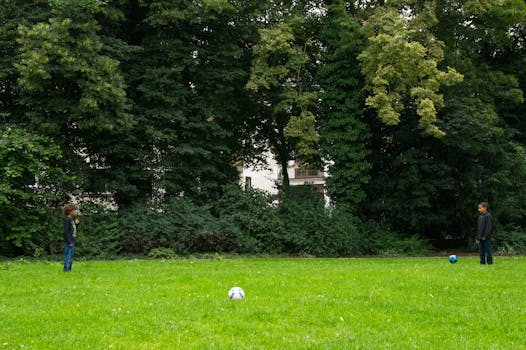 Two boys engage in a casual soccer game in a verdant park, surrounded by green foliage.