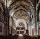 哥特式大教堂建筑景观令人惊叹，其特色在于拱门和拱形天花板