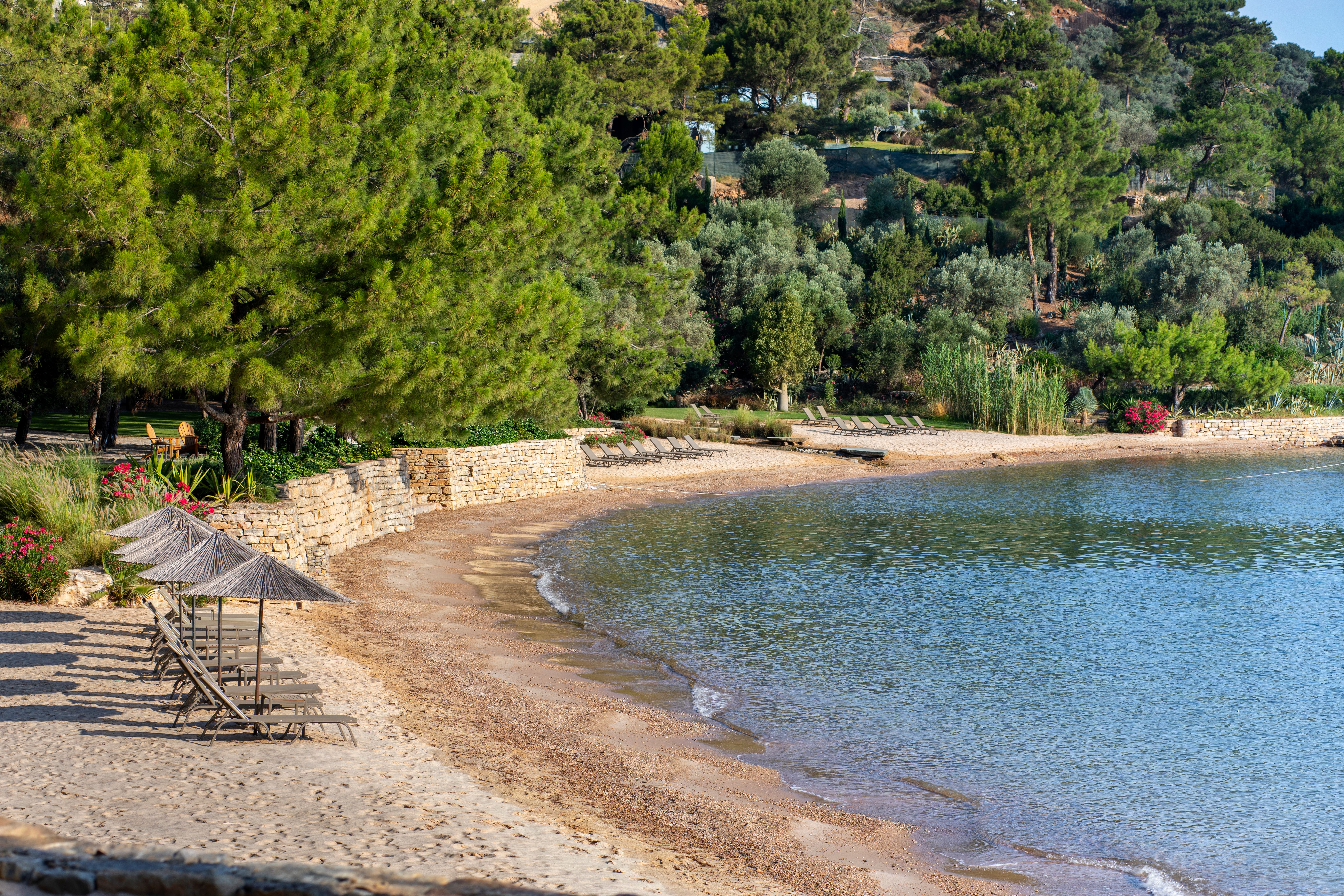 Private Beach Photos, Download The BEST Free Private Beach Stock