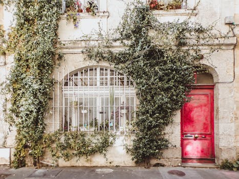Beautiful vine-covered building facade with a vibrant red door, capturing a rustic charm and urban essence.