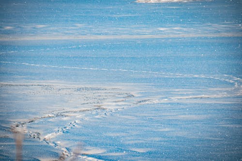 Бесплатное стоковое фото с замерзшее море, зима, лед