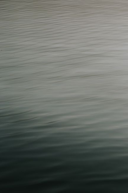 Calm water surface with gentle ripples creating a peaceful ambiance.