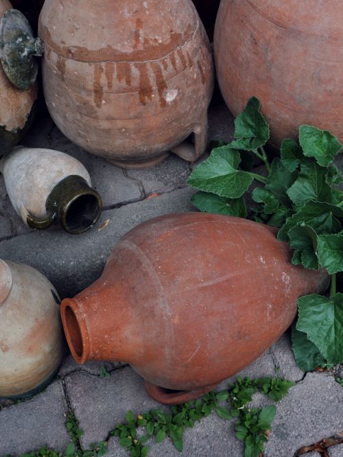 Free Close-up of rustic clay pots with vibrant green leaves on a stone pavement. Stock Photo