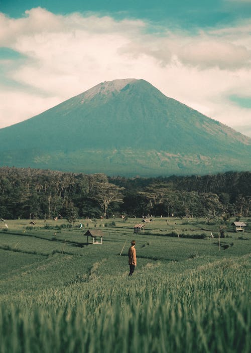 Foto De Man Standing On Grass Field