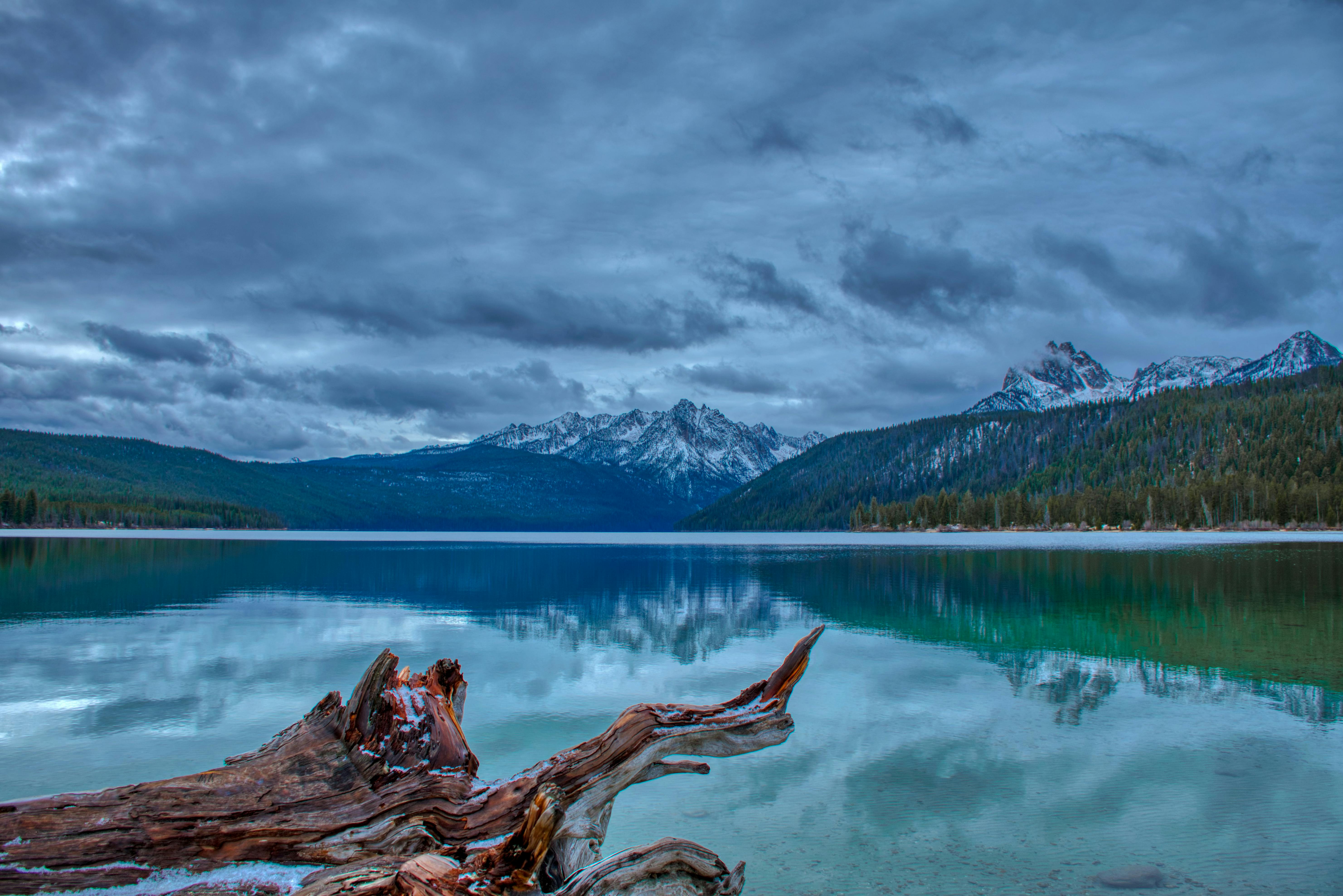 Wooden Log Near Body Of Water