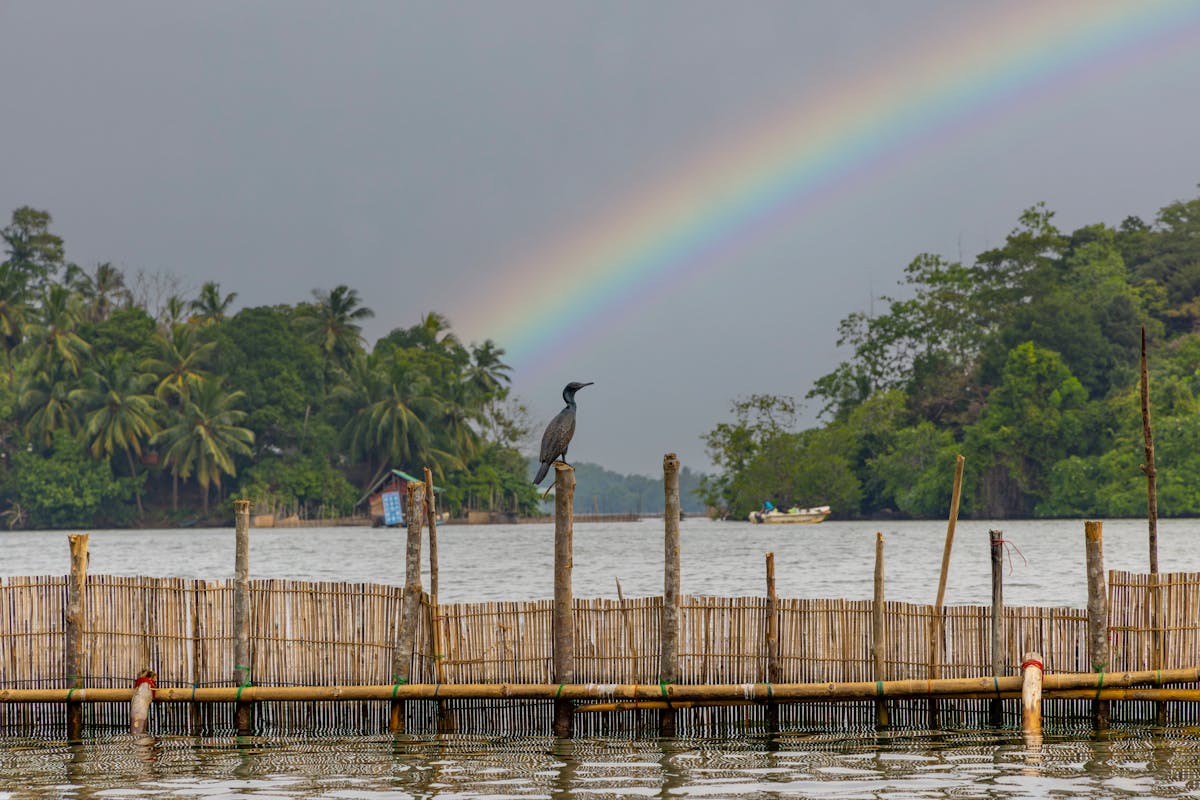 Bentota Beach