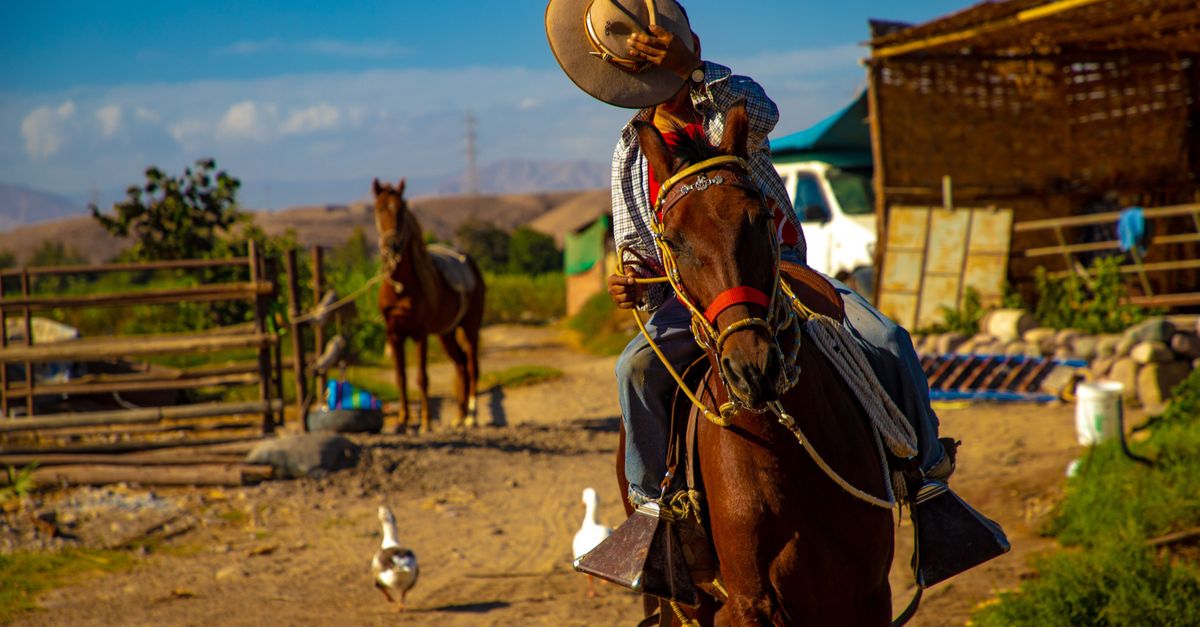 Cowboy riding on a farm in Moquegua, Peru