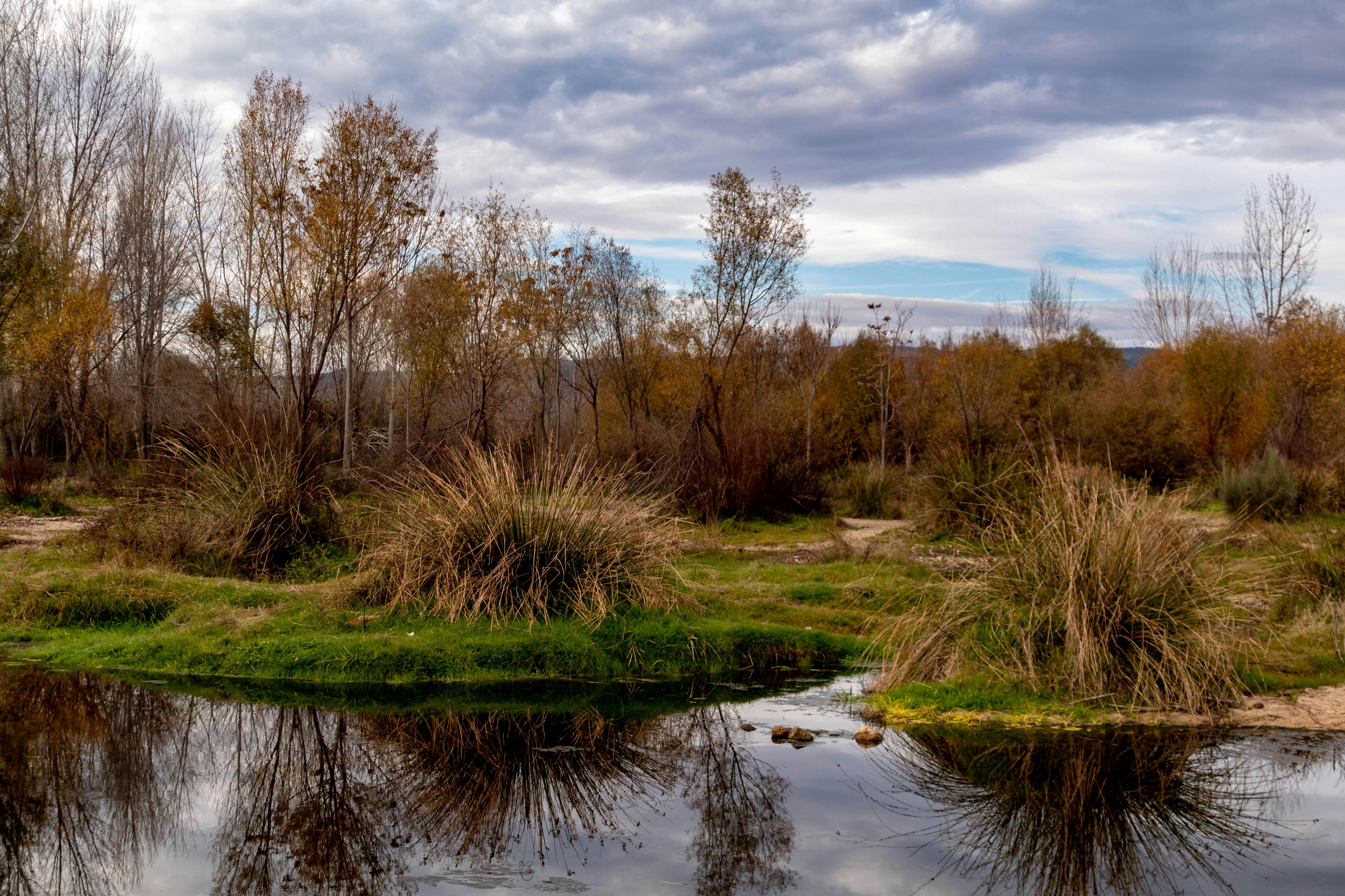 Kostenlose Bilder von Chucas · Pexels