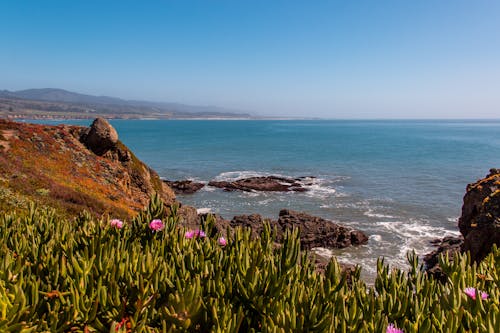 Free stock photo of california, california coast, nature