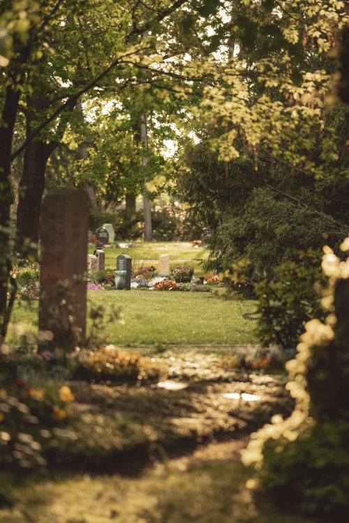 Free Peaceful scene of a leafy cemetery park in Leipzig with tombstones and flowers. Stock Photo
