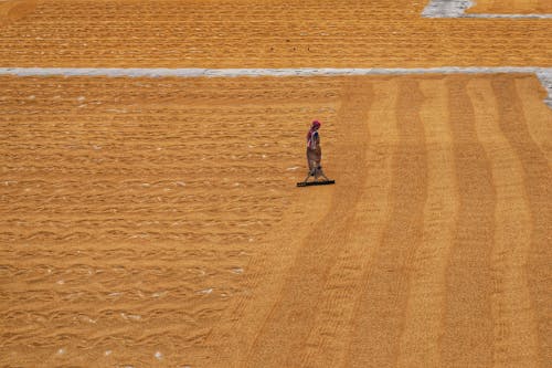 Woman Working on Rural Field