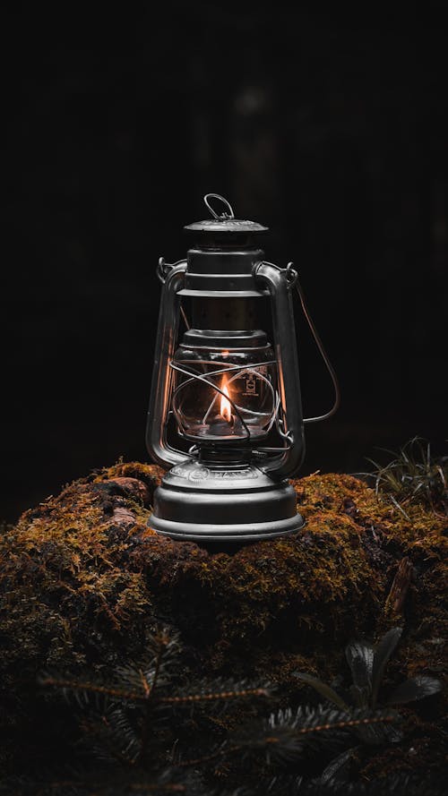 Light in Lantern in a Forest 