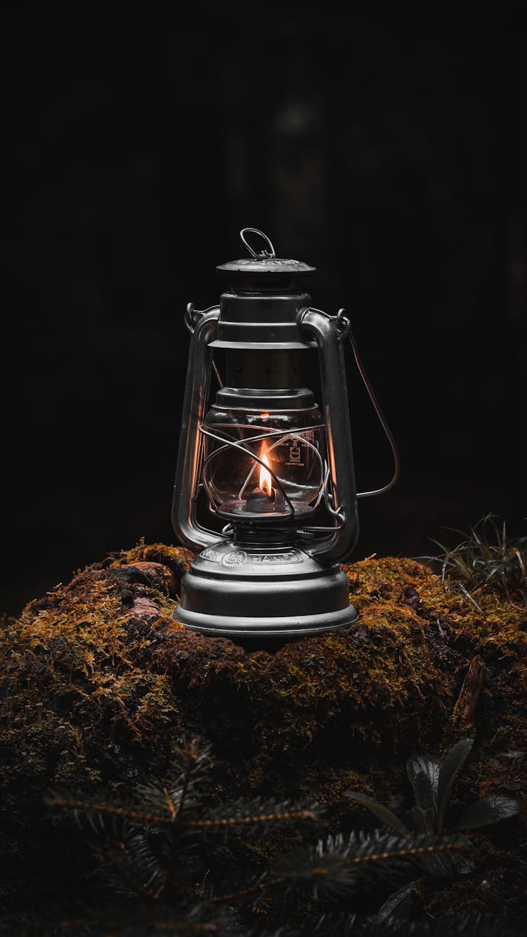 Light In Lantern In A Forest 