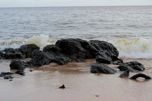 Foto profissional grátis de corroído, mar, natureza