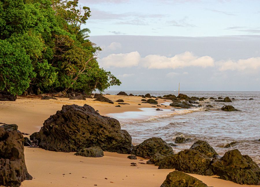 Discover a serene beach with lush greenery and dramatic rocky shoreline under a peaceful sky.