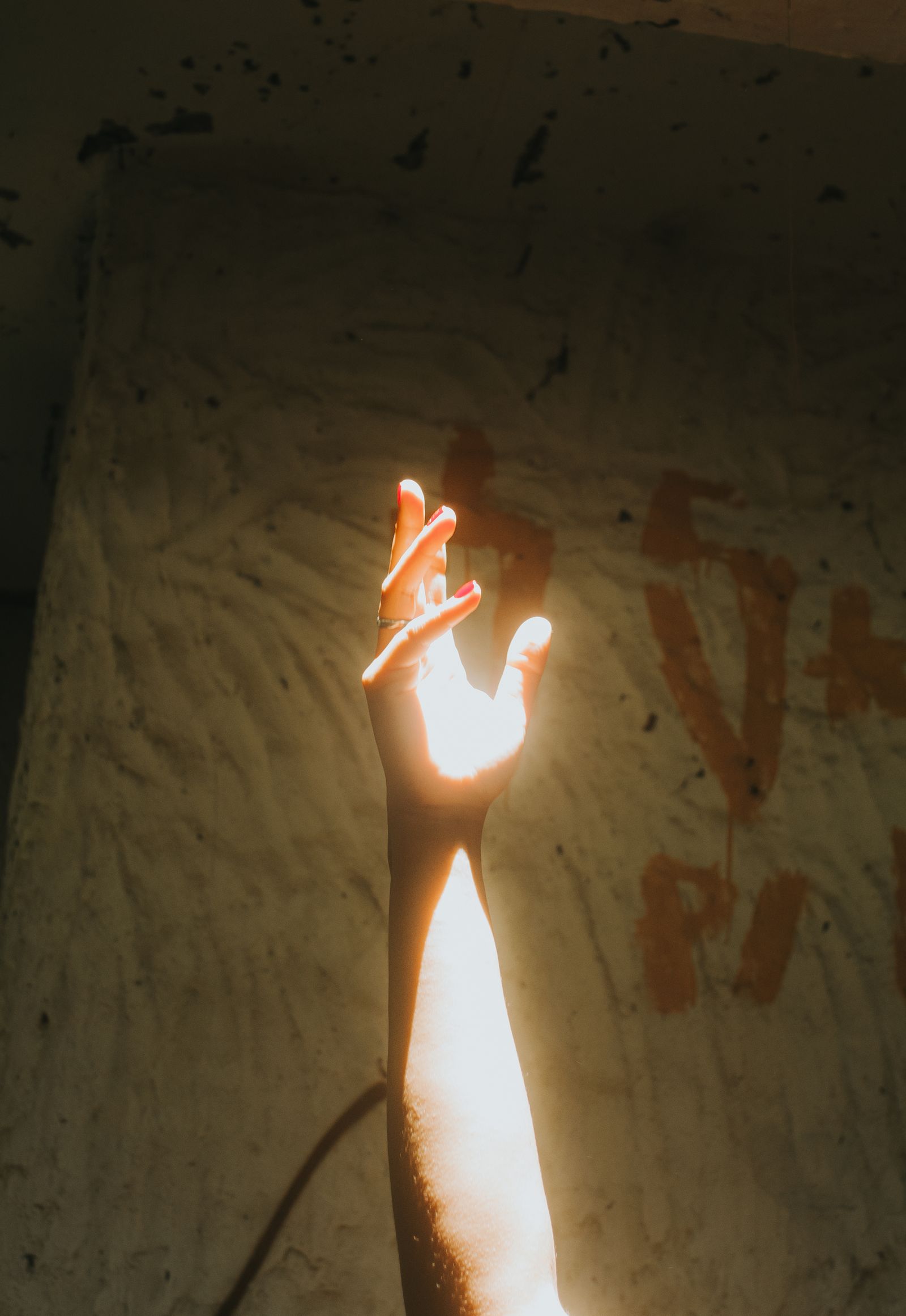 Person's Right Hand · Free Stock Photo