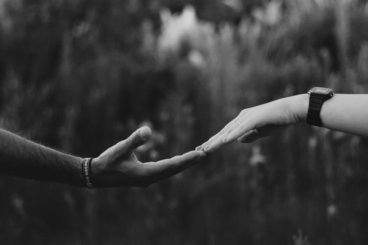 Close-up Of Couple Touching Hands In Nature