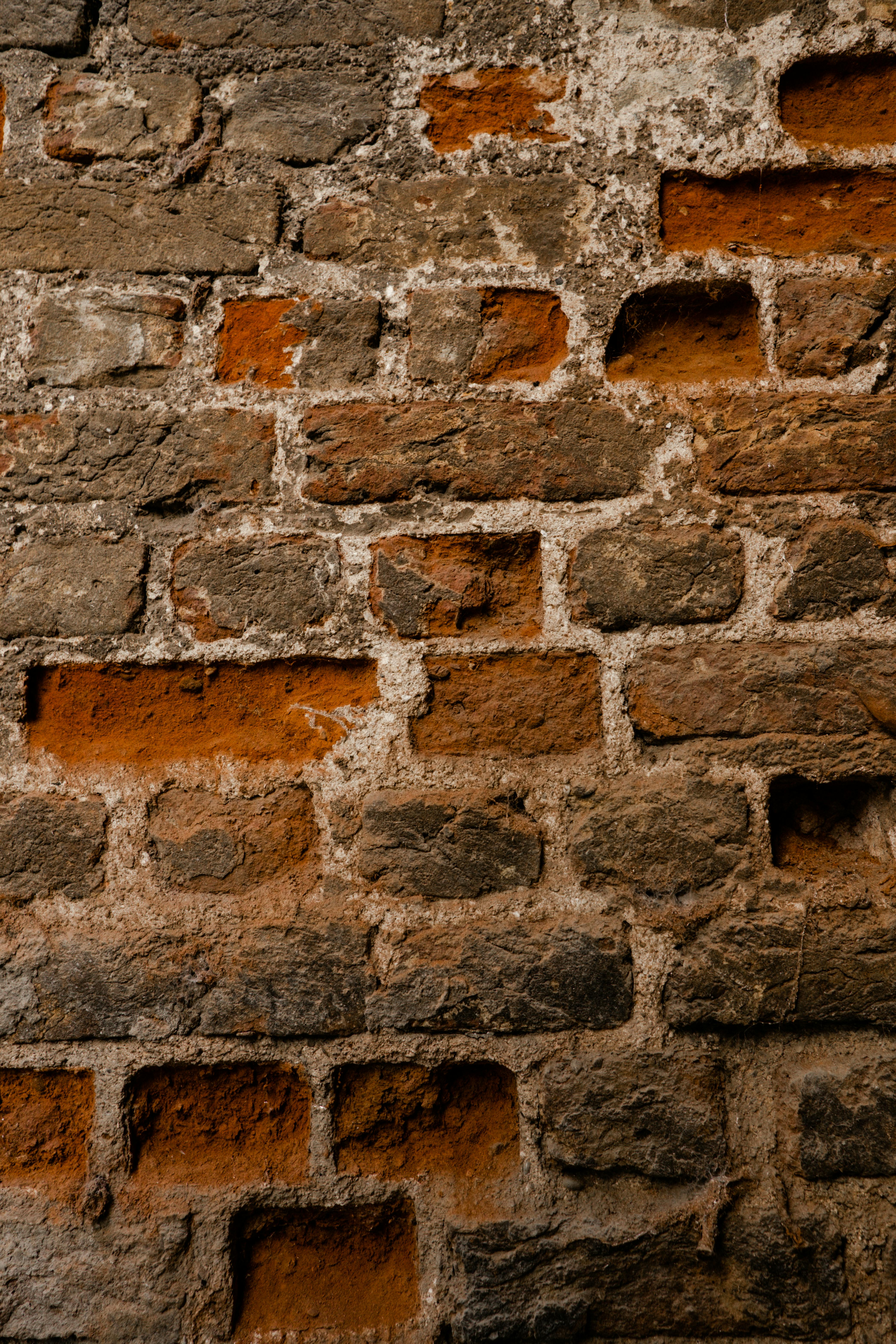 무료 건물, 건물 외관, 건설의 무료 스톡 사진