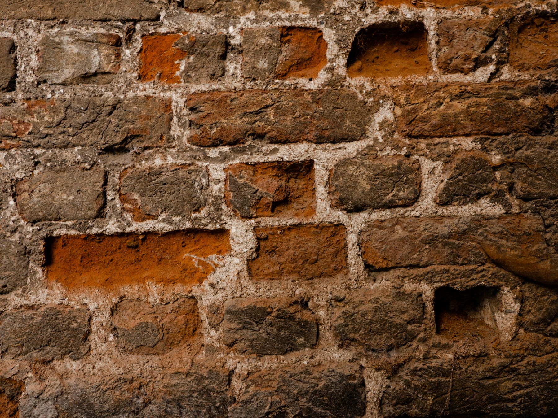 Commercial Decorating in Gallows Corner — walls rolled to an even, flat finish