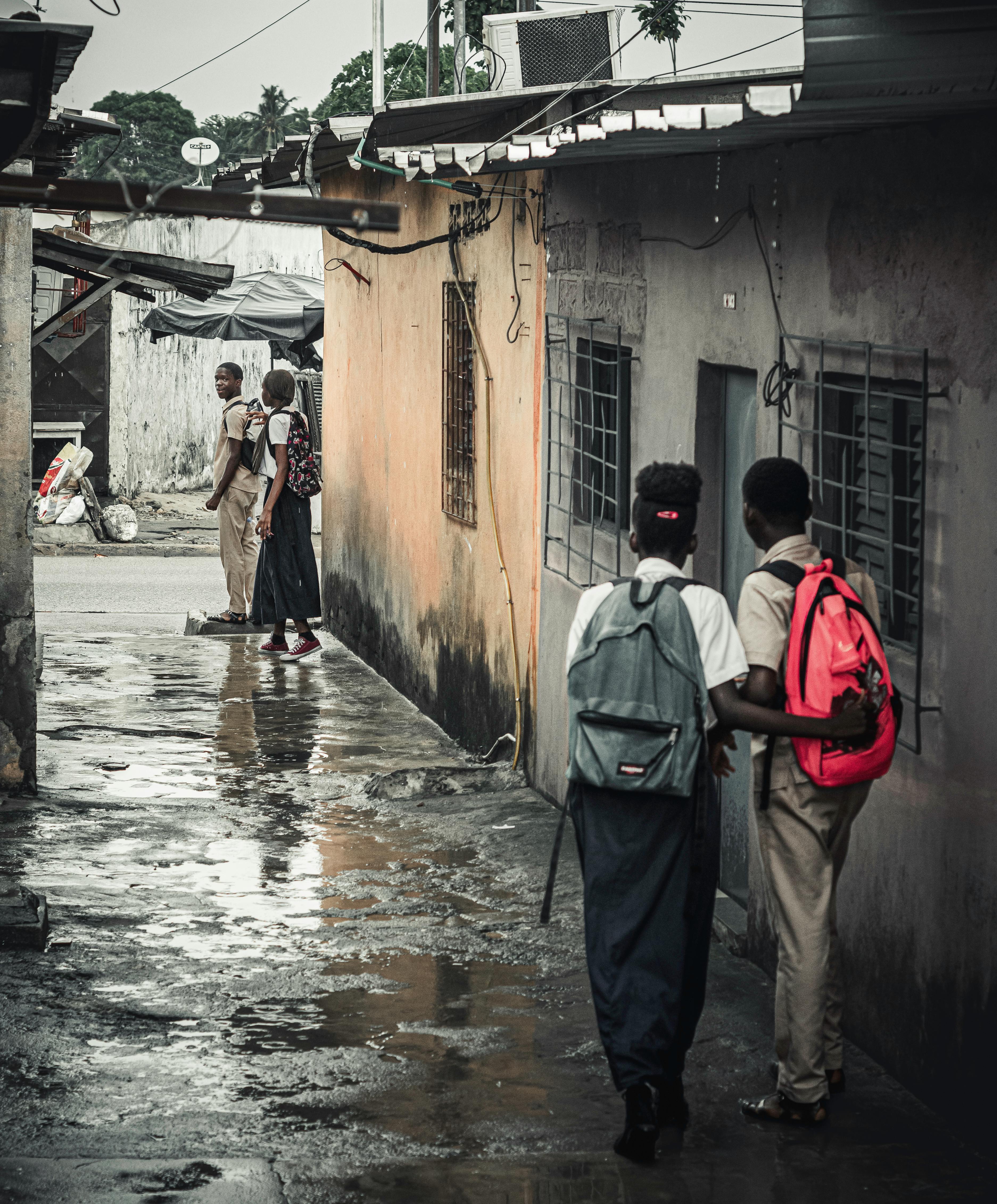 Why Do Dogs Have Wet Noses? Discover The Fascinating Truth! 9 Wet Noses and Social Bonds: How Dogs Use Their Senses to Communicate