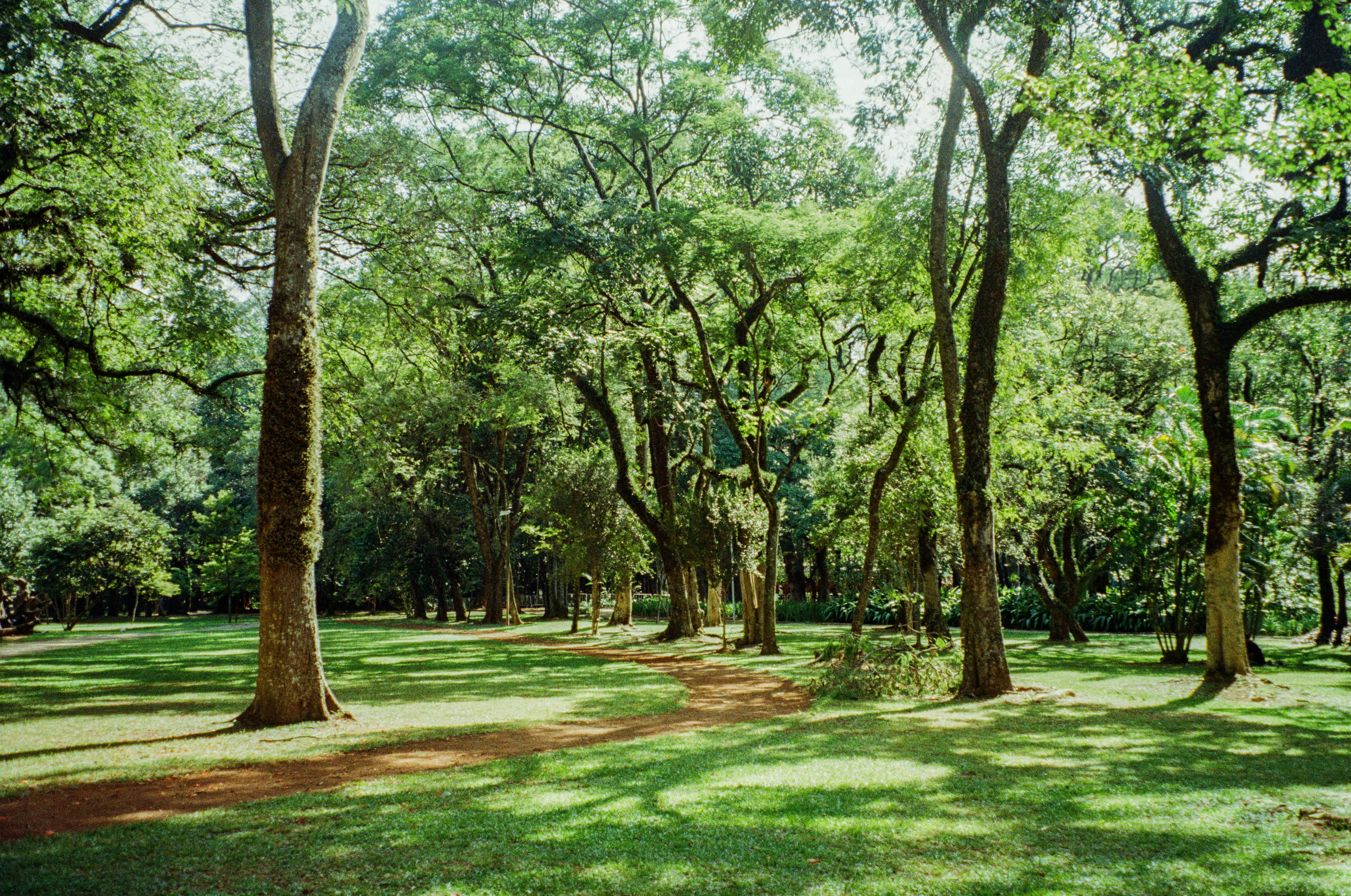 The Ins and Outs of Weightlifting with Hernia: Expert Guidance