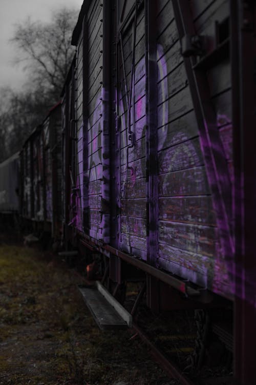 Free stock photo of abandoned, grafitti, purple