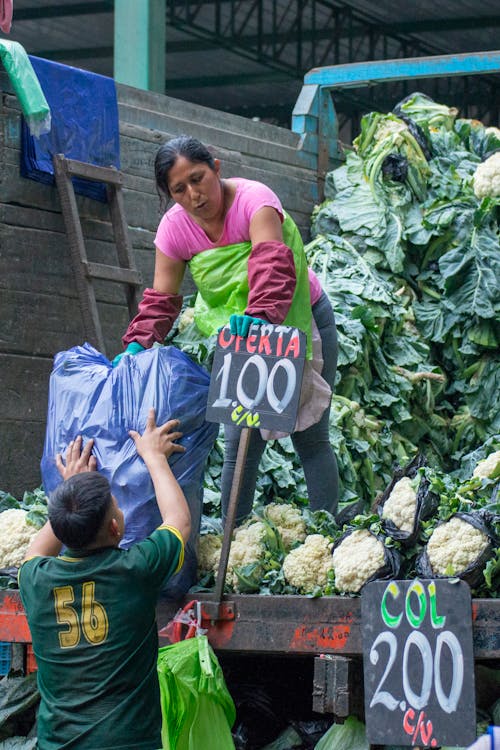 Cauliflowers Sold Straight from the Truck