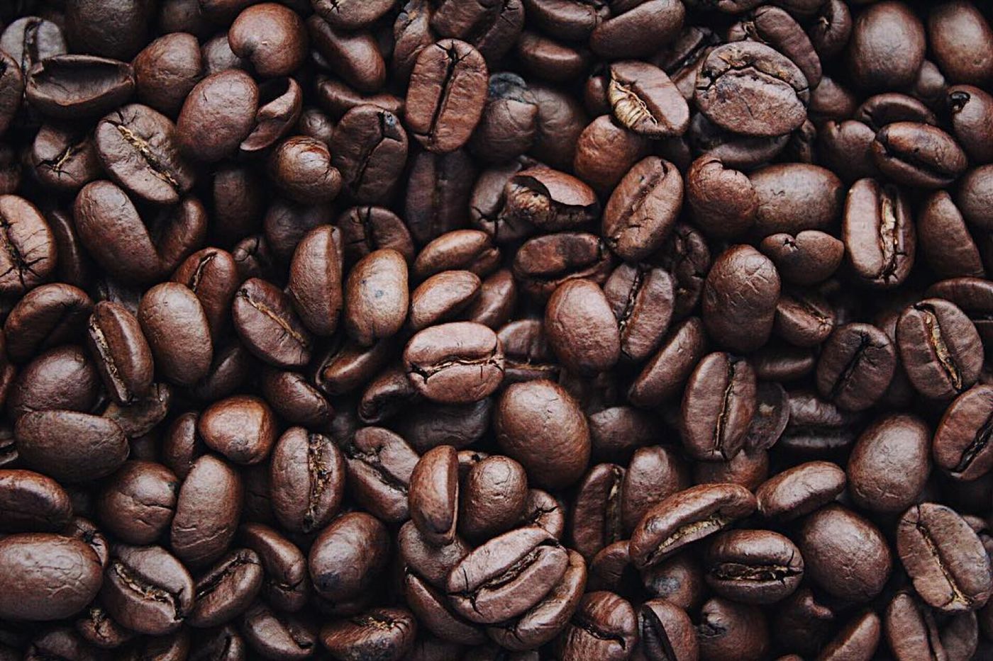 Freshly roasted coffee beans