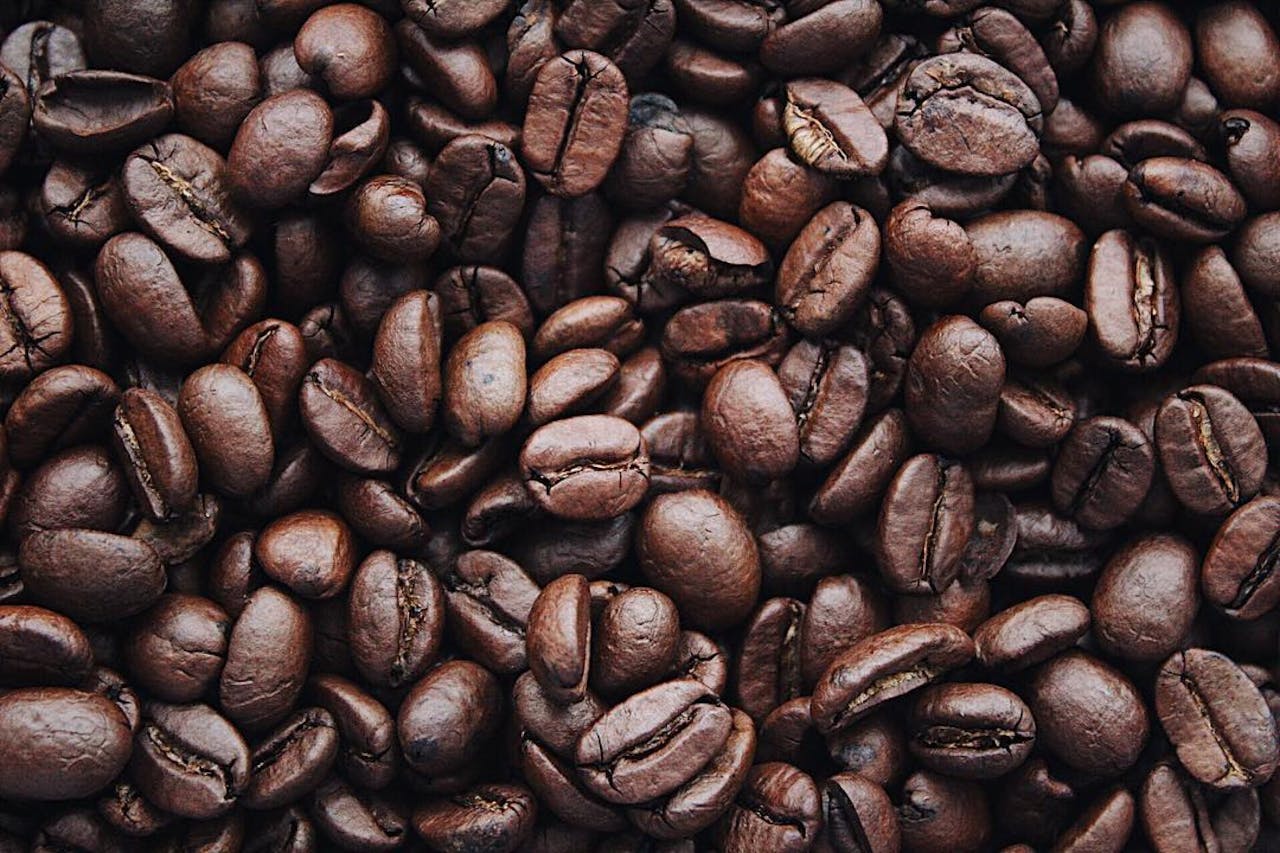 Freshly roasted coffee beans in a coffee shop.