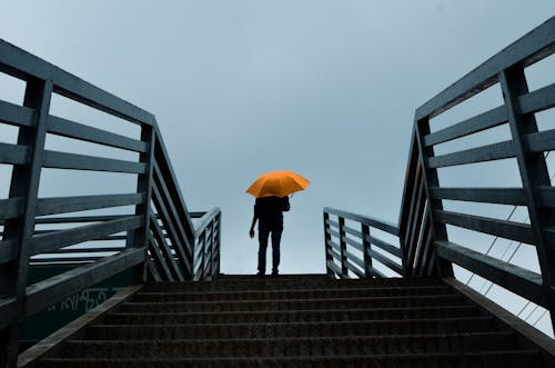 13.000+ Fotos, Bilder und lizenzfreie Bilder zu Regenschirm Auto