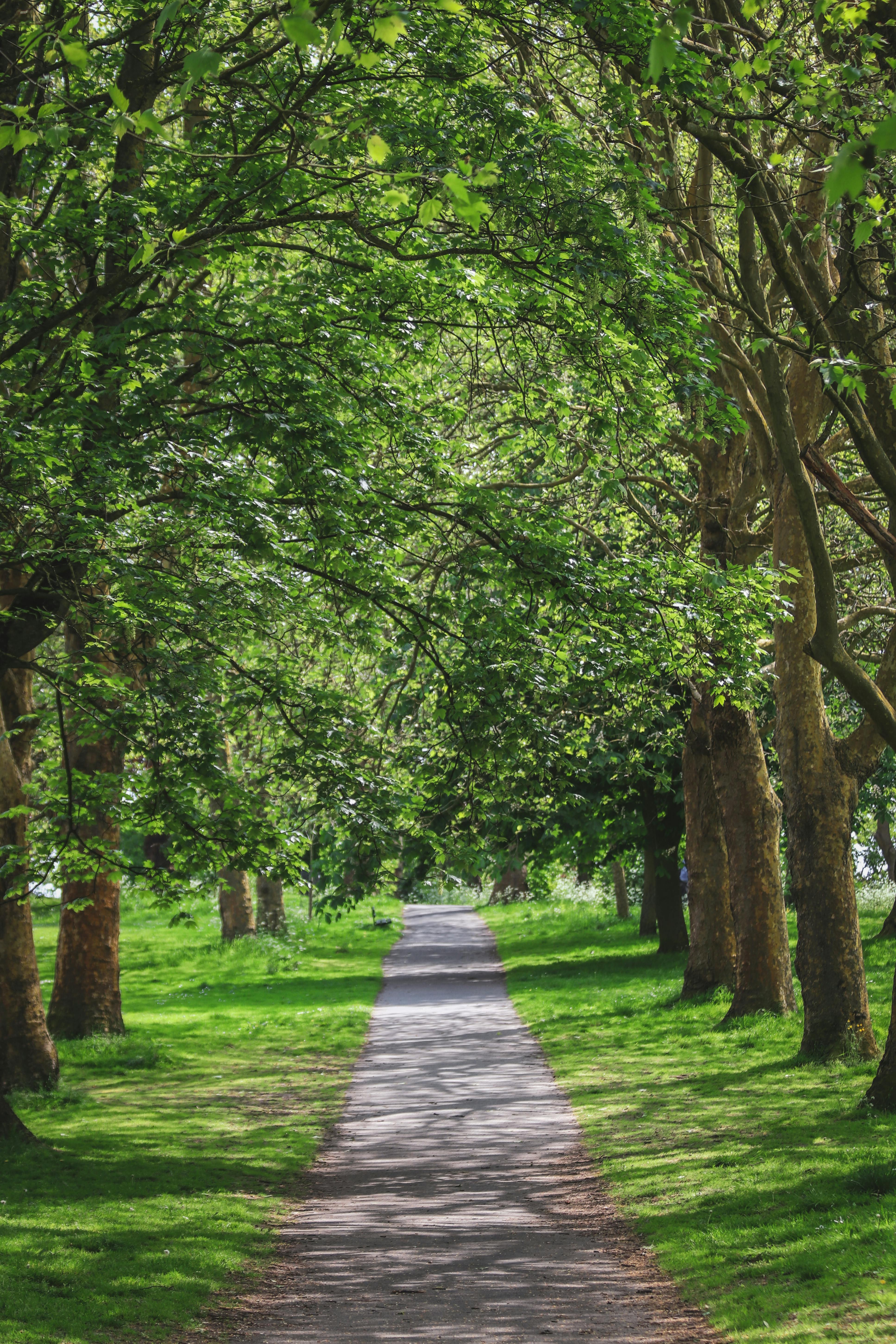 Hotwells Bristol: Discover Hidden Gems and Local Secrets Today! 5 10 Must-Visit Parks and Green Spaces in Hotwells, Bristol for Nature Enthusiasts