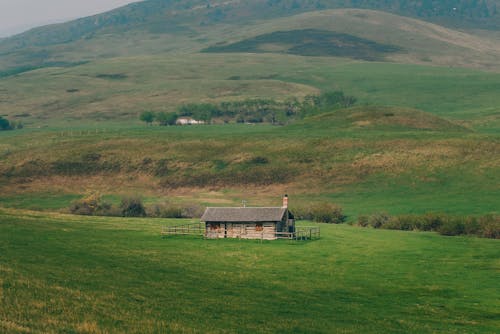 A Wooden Hut on a Grass Field in Mountains 