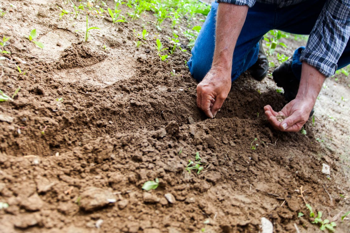 environmental consultant sampling soil